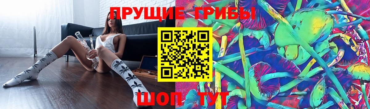 Псилоцибиновые грибы мицелий Трёхгорный